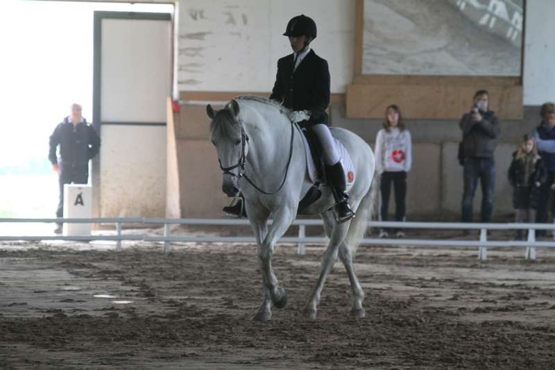 Segunda Fase de la Liga de Doma Clásica
